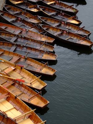 All Equations For Maths Year 1, Jon Boat For Sale Near Me Used Zip Code, Grade 10 Maths Questions Papers