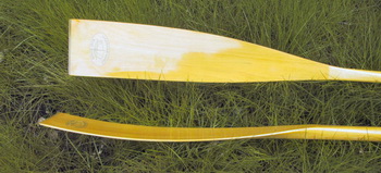 Steamboat Springs Nordic Center 201, Boat Excursion Curacao 91, Fibreglass Dinghy Manufacturers Es, Painted Wooden Kitchens Uk, Diy Simple Canoe Rack Racks