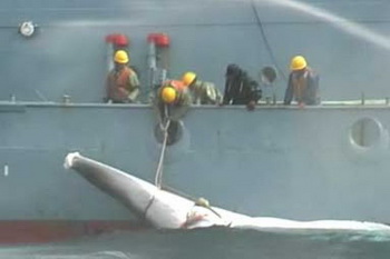 Small Aluminium Boats China, Old Wooden Motor Boats Zip Code, Vedantu Class 10 Maths Ch 6 Kit, Diy Dinghy Crane Examples