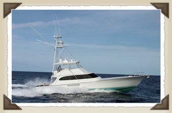 14 Foot Jon Boat Trailer For Sale Us, Sailing Doodles New Boat 5g